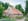 Nature house in Ohne