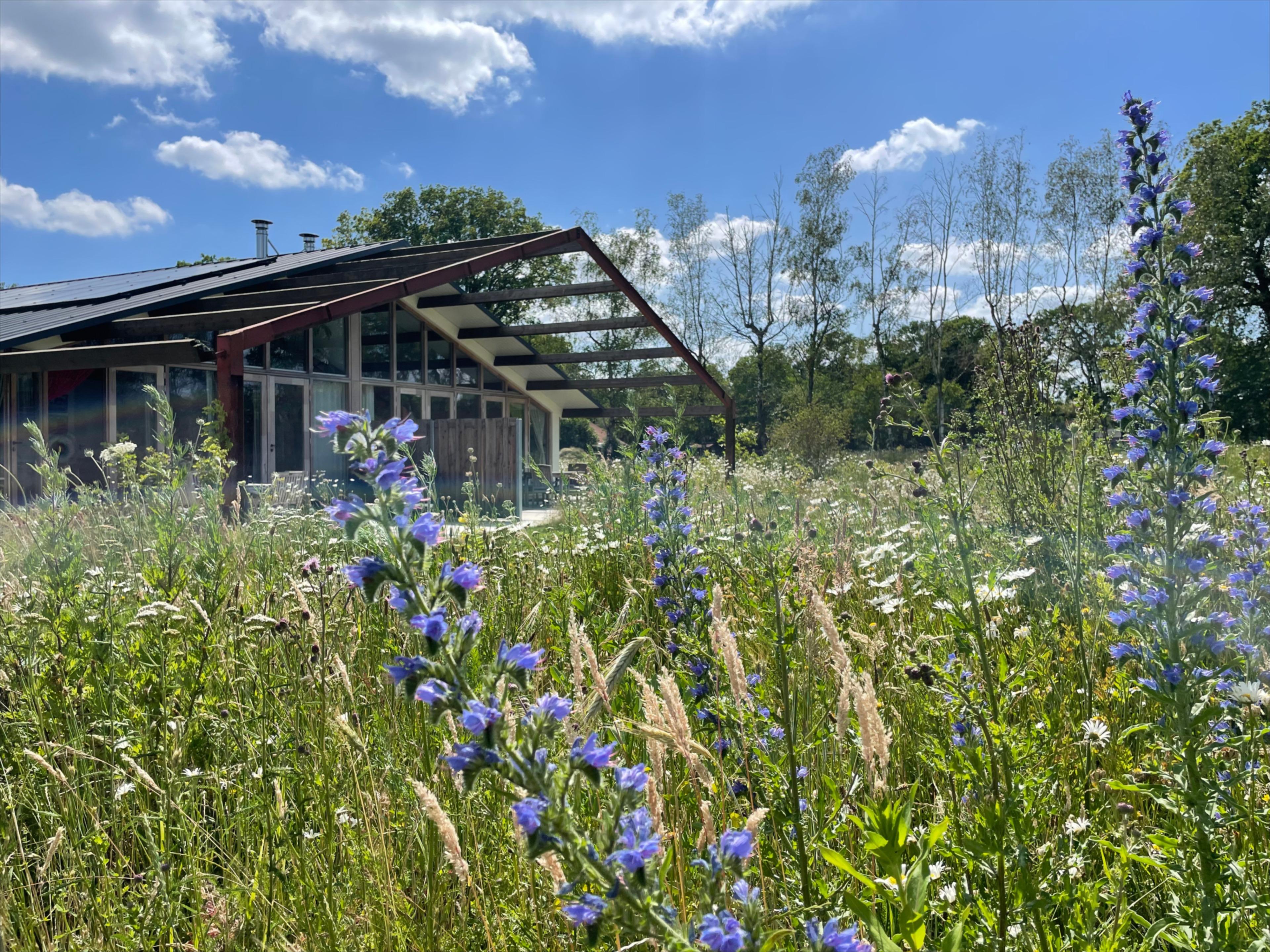 Maison nature à Gilze