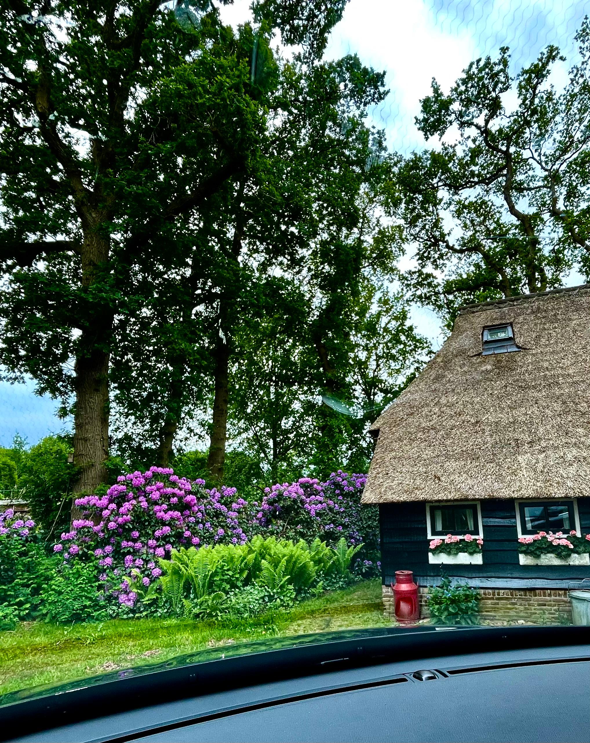 Nature house in Uffelte
