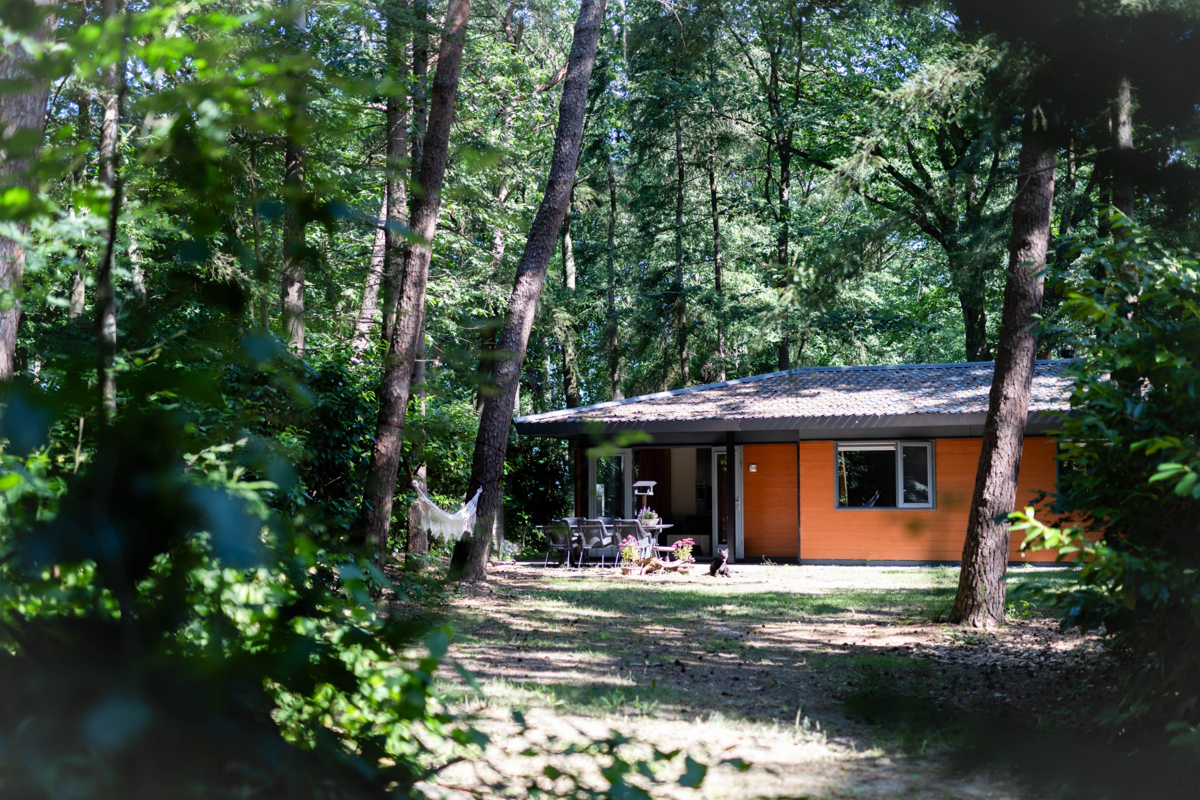 Maison nature à Voorthuizen