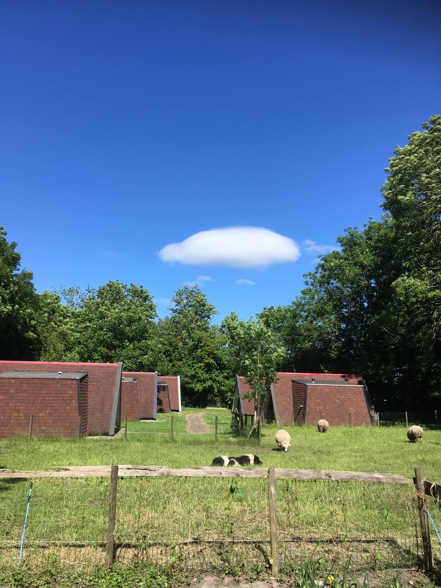 Natuurhuisje in Aartswoud