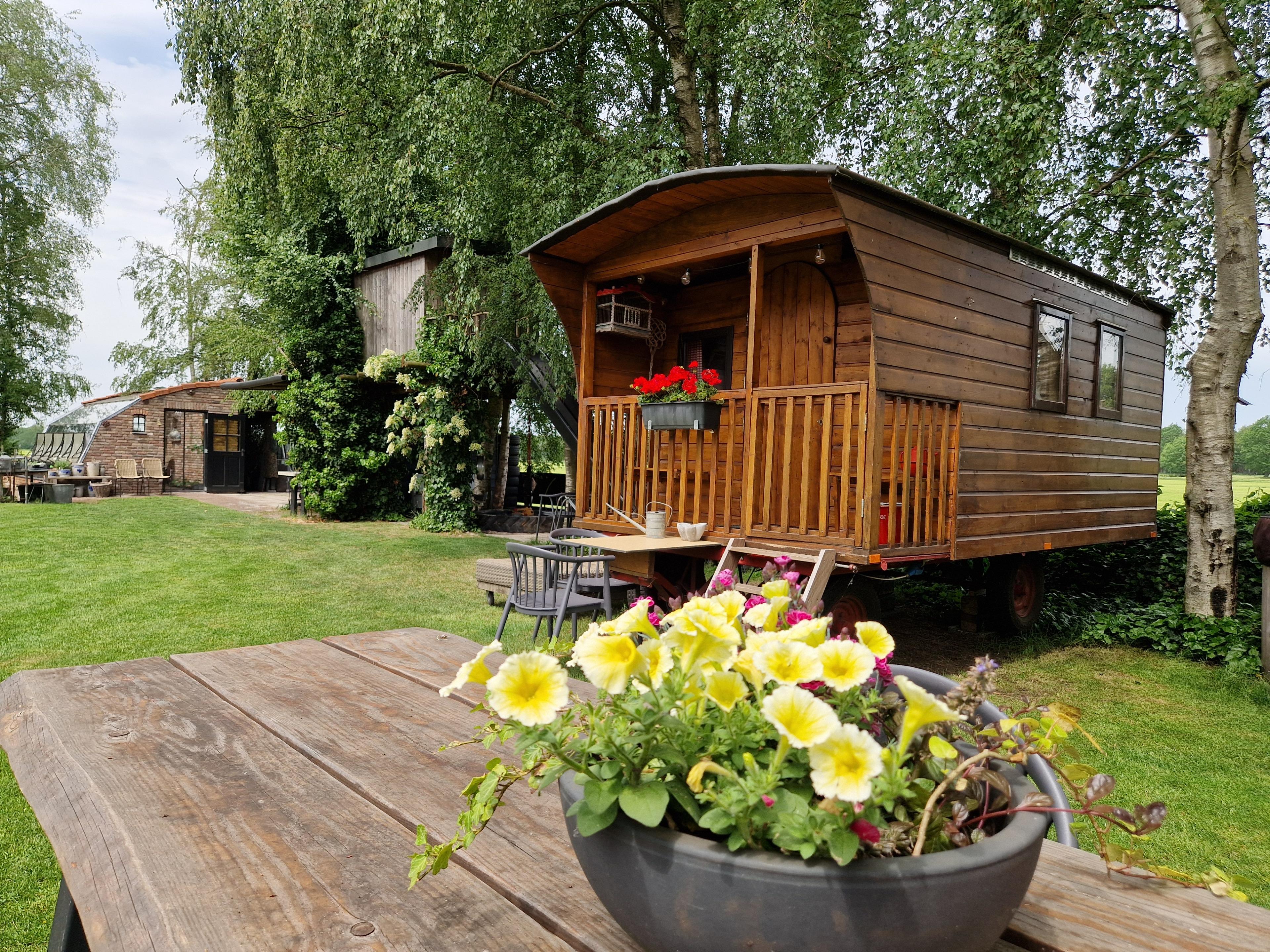 Nature house in Alteveer Gem De Wolden