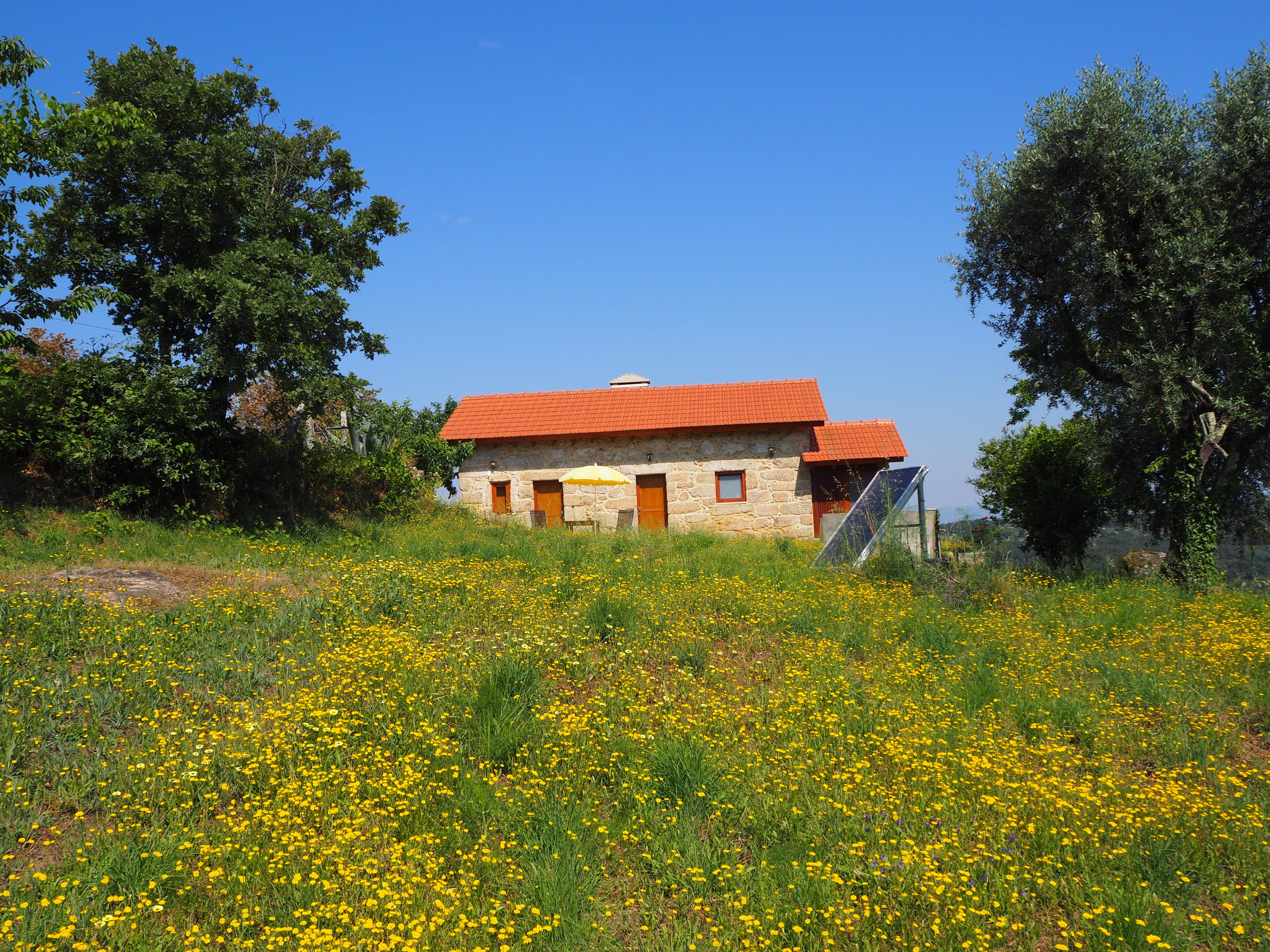 Natuurhuisje in Povoa de Midoes (Tabua)