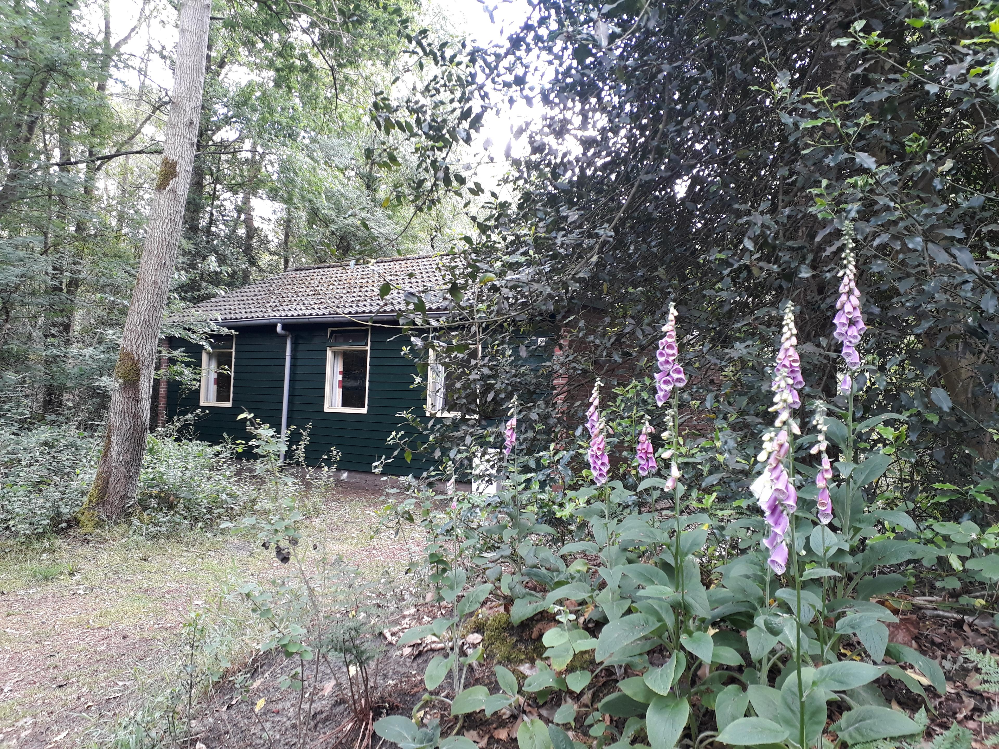 Natuurhuisje in Ruinen