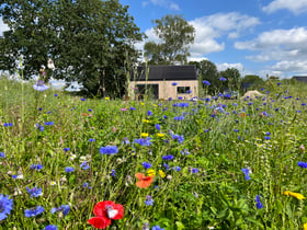 Nature house in Appelscha