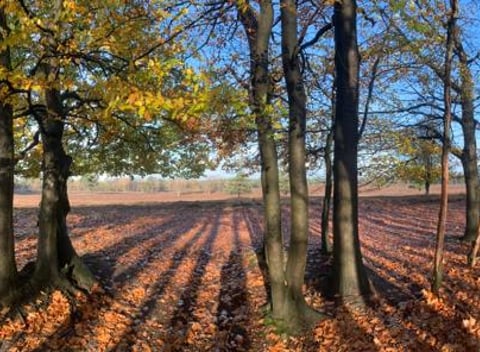 Natuurhuisje in Wezep - thumbnail: 19: 19