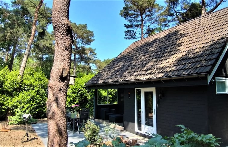 5 etoiles maison de vacances a Fanø