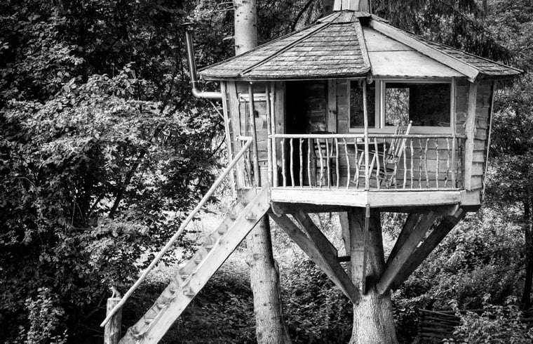 Boomhut in Trippstadt — foto 1