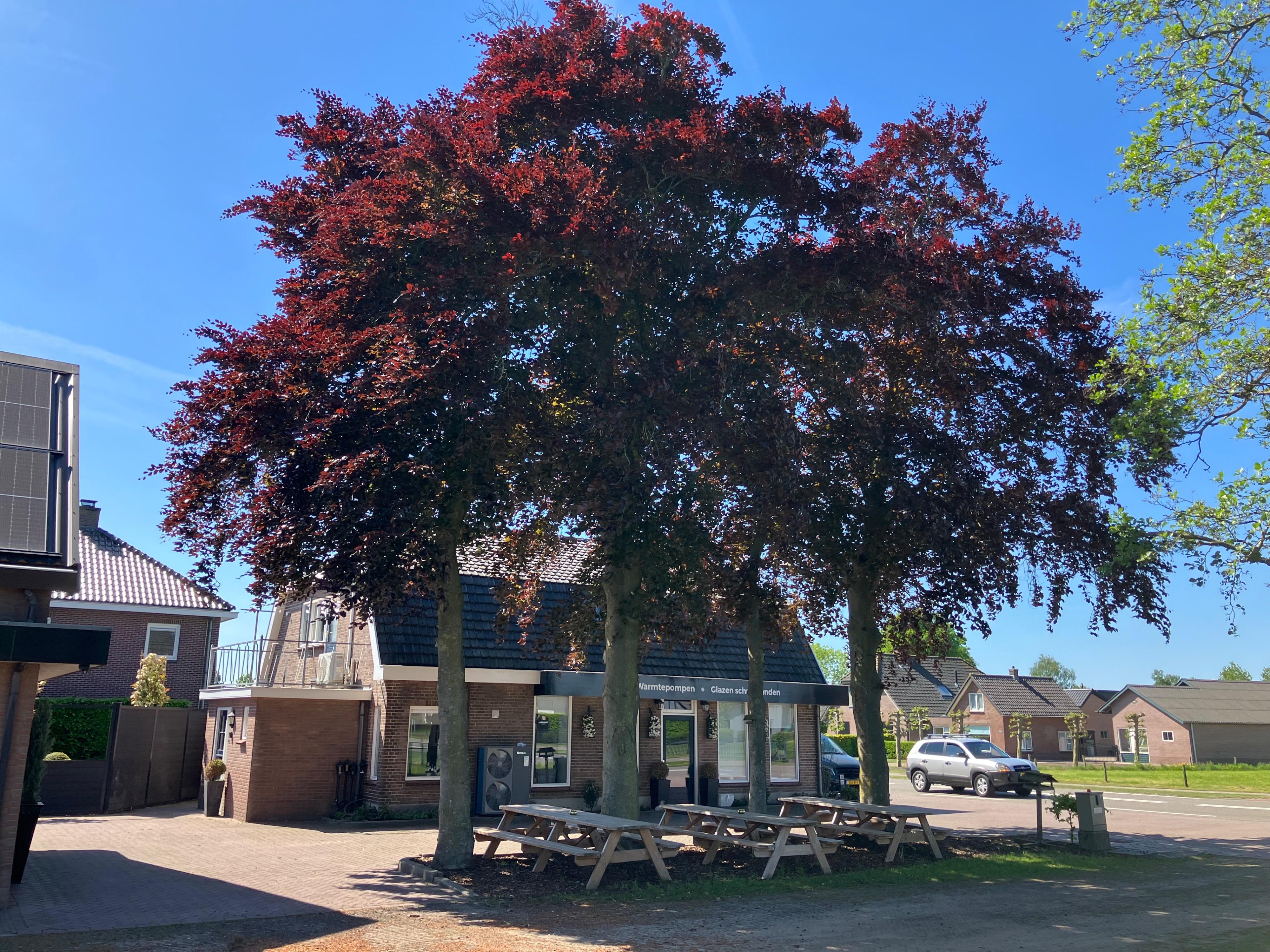 Maison nature à Barneveld
