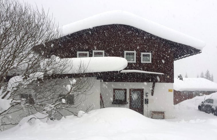 Nature house in Mittelberg: 14