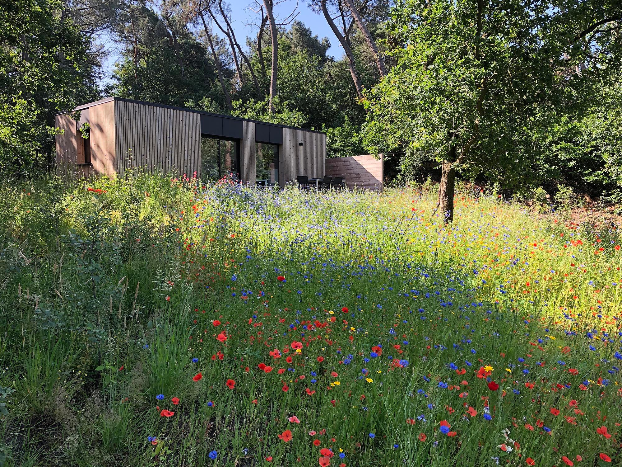 Nature house in Essen
