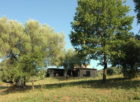 Maison nature à Roccagloriosa: 19