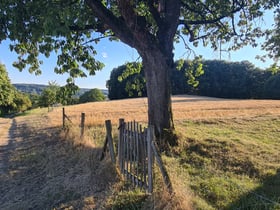 Maison nature à Tecklenburg