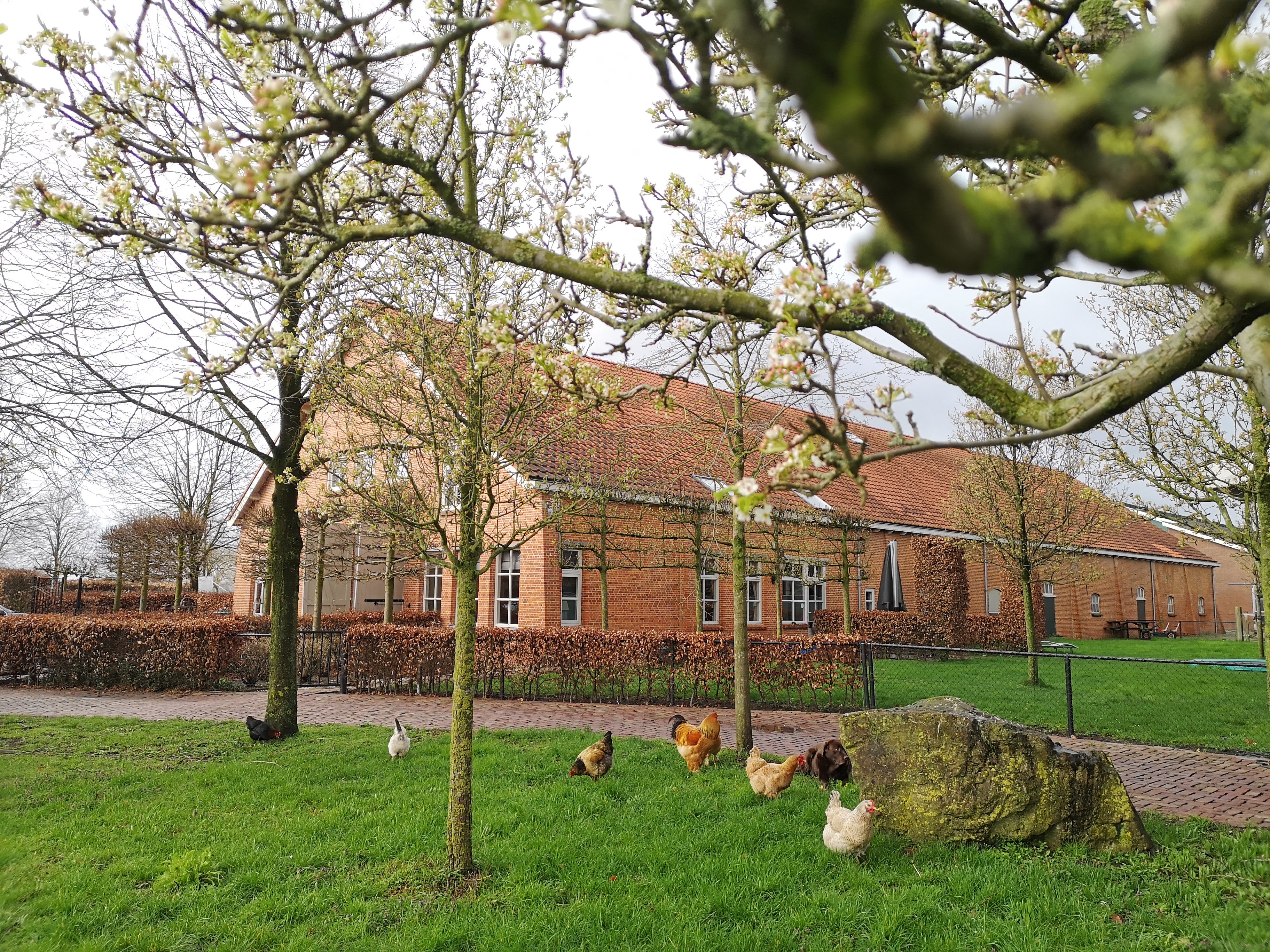 Natuurhuisje in Diessen