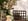 Nature house in Dambach