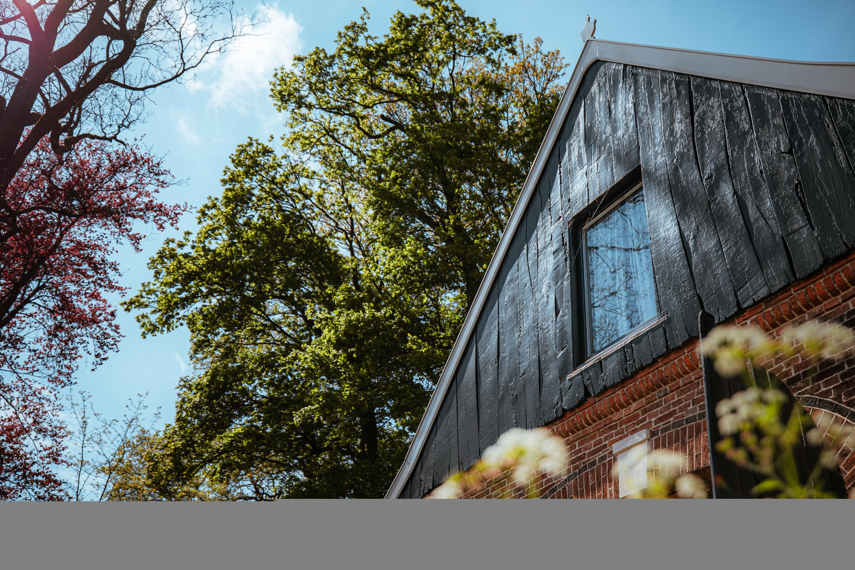 Nature house in Winterswijk Woold