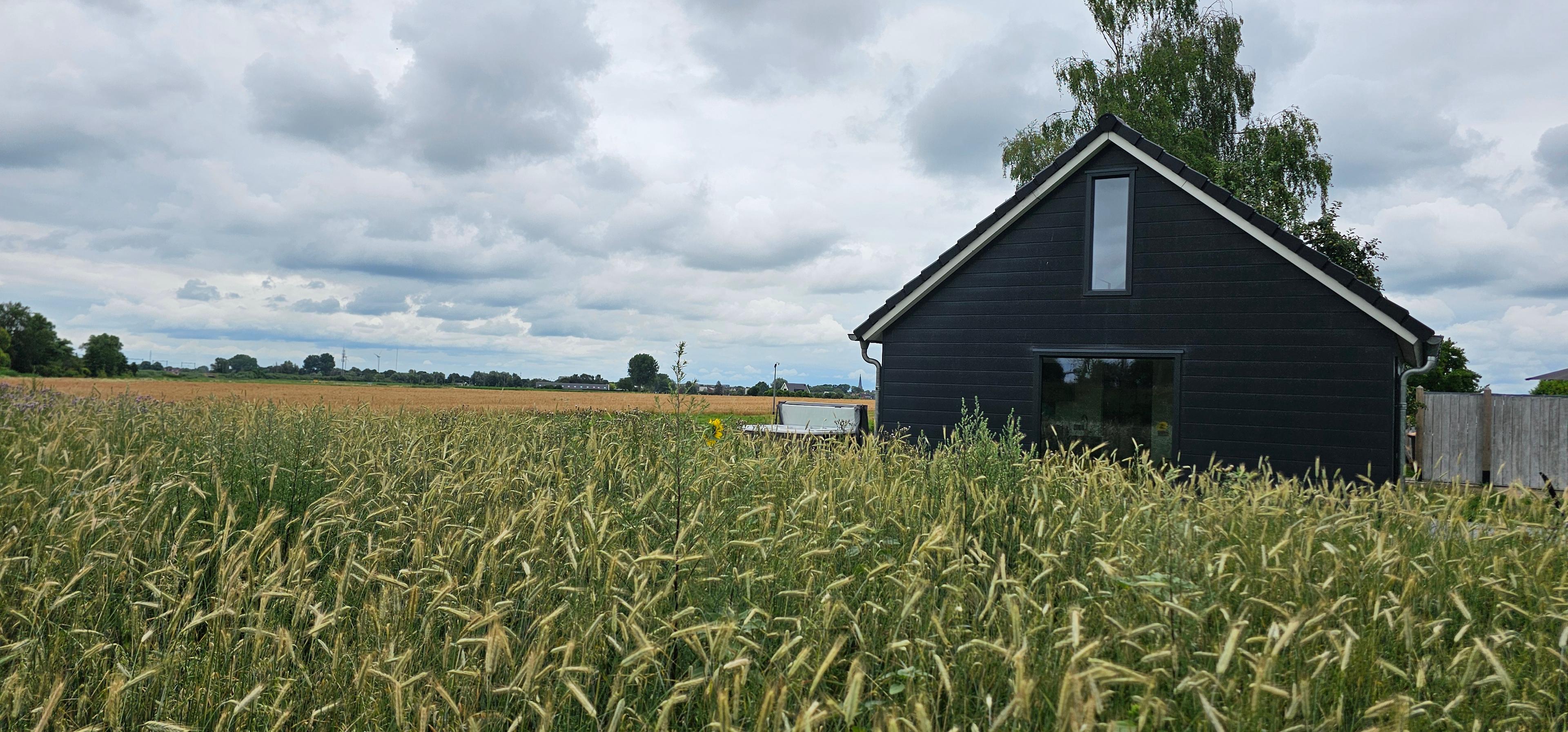 Maison nature à Brummen