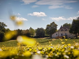 Natuurhuisje in Mercurey