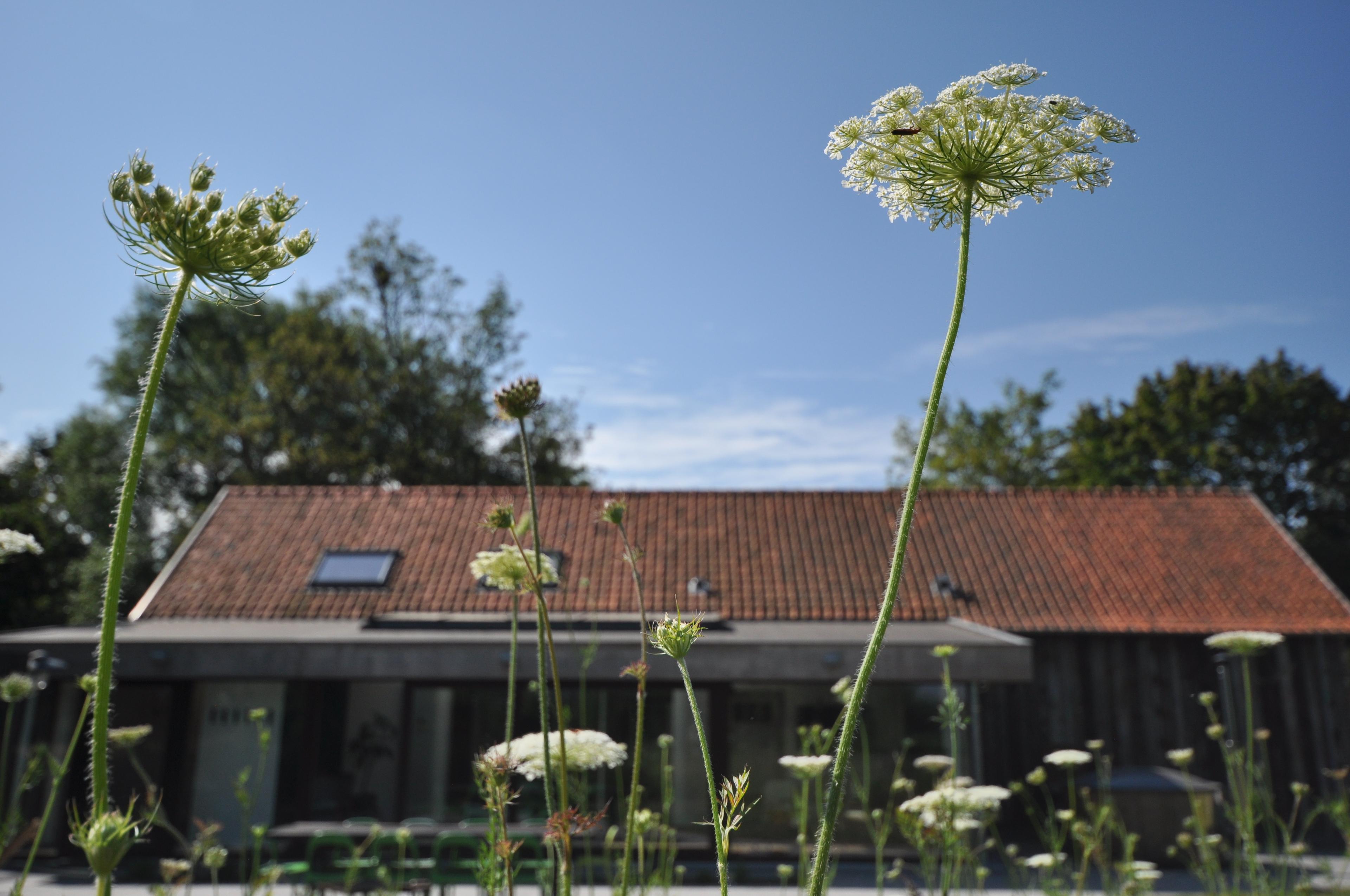 Nature house in Lievegem