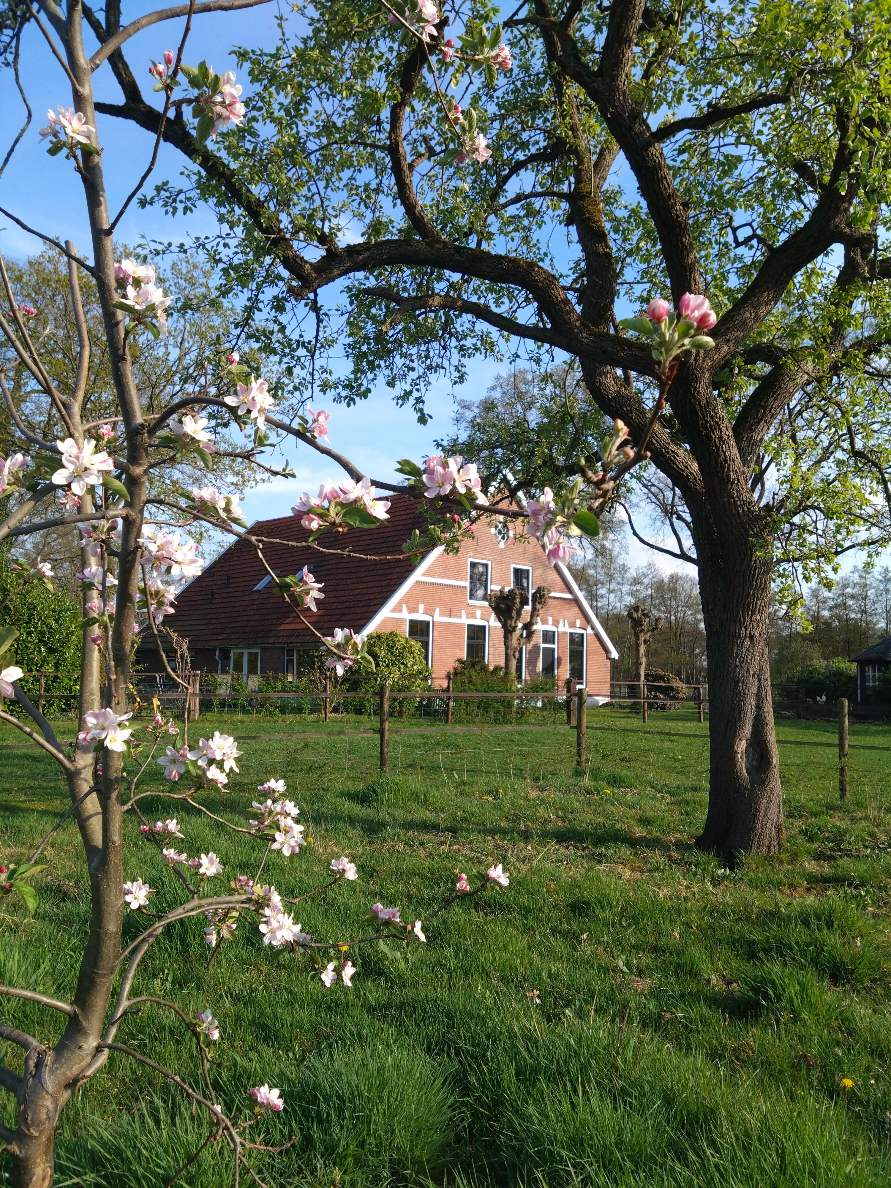 Nature house in Hengelo