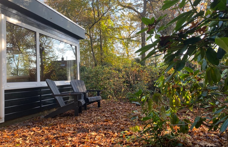 Bungalow in Doldersum — foto 2