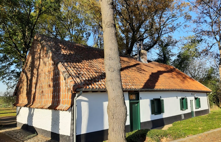 Boerderij in Tielt-Winge — foto 1