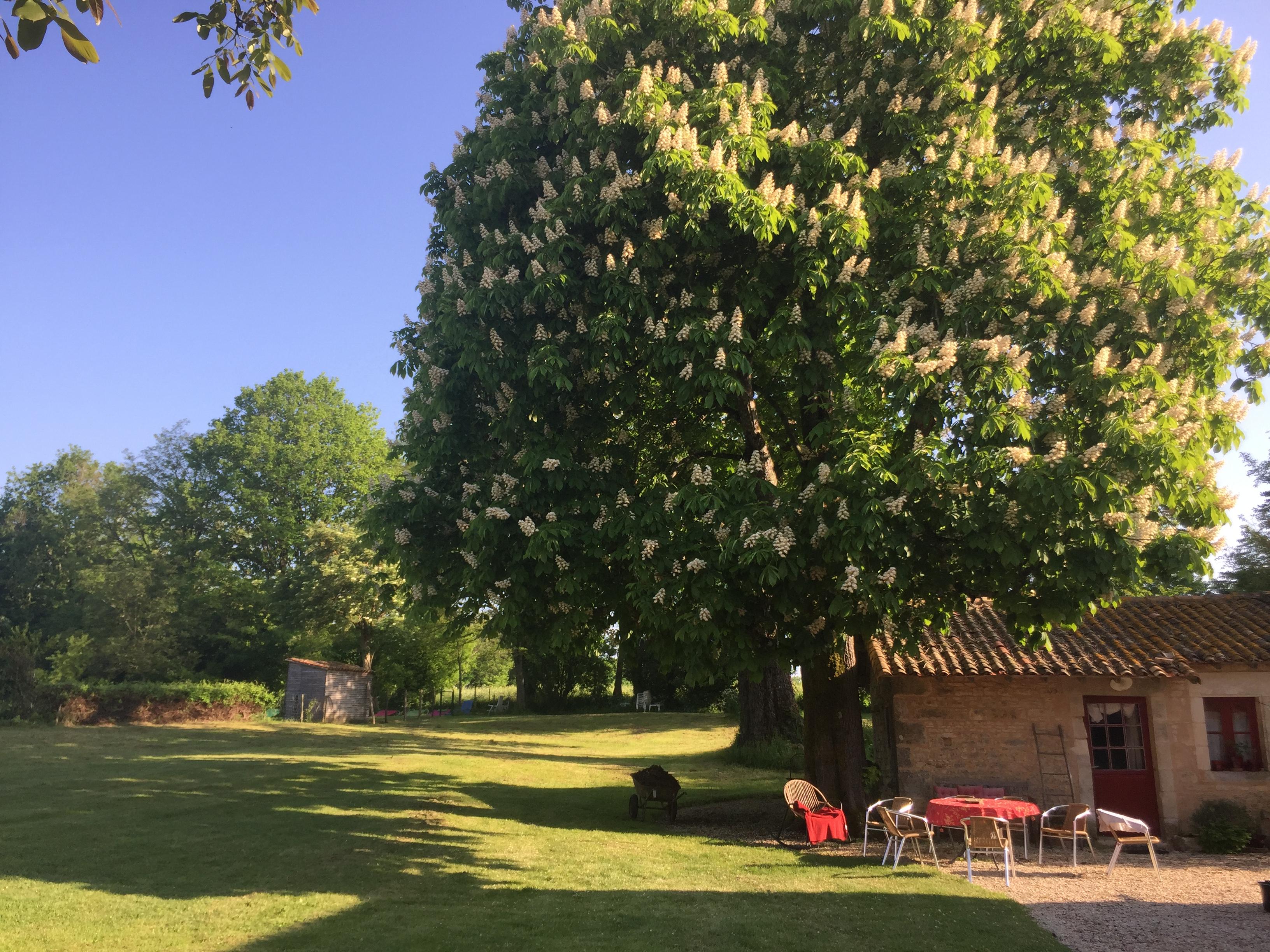 Natuurhuisje in Sepvret