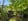 Nature house in IJhorst