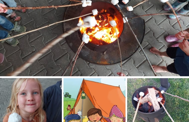 Glamping in Den Ham (Twente) — foto 3