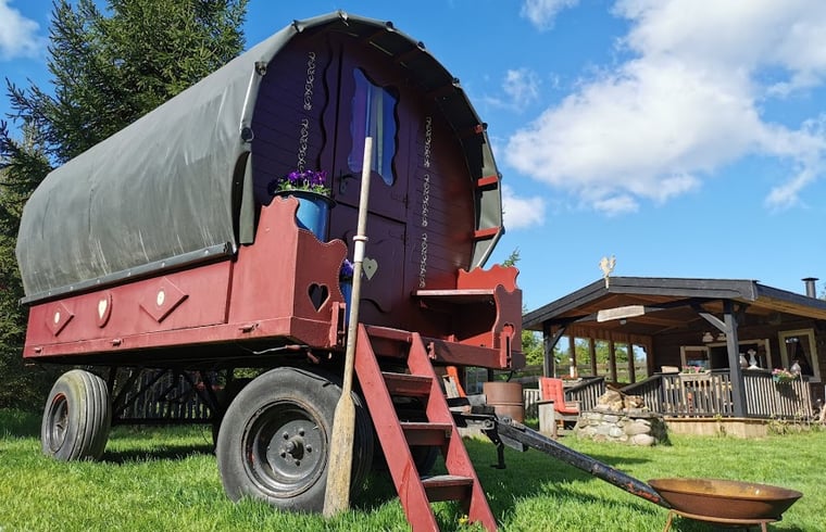 Groepsaccommodatie in De Lutte — foto 2