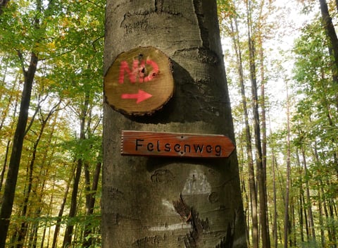 Naturhäuschen in Gossersweiler - Stein: 21