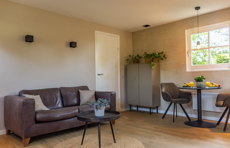 B&B in Ruinen — foto 2