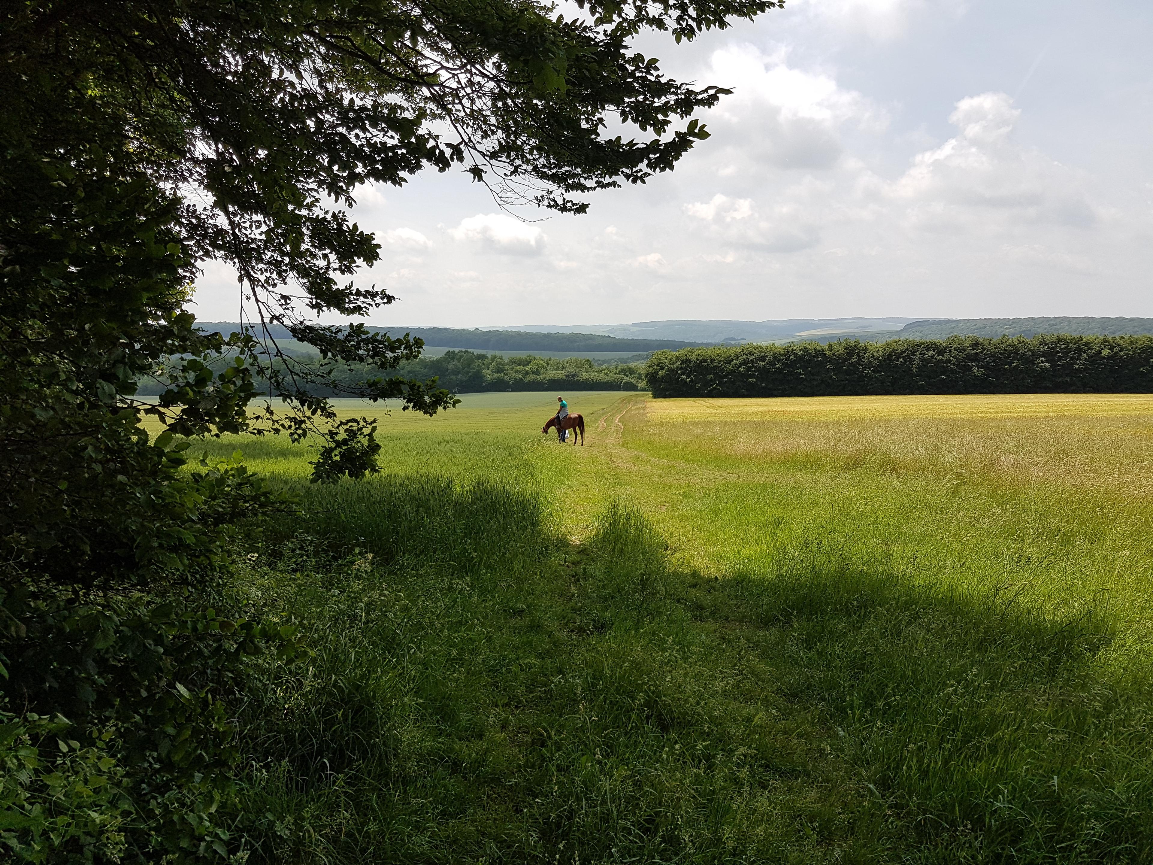 Nature house in Brouennes
