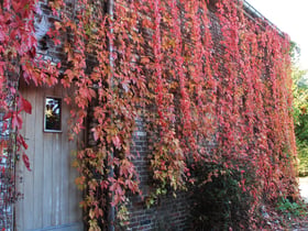 Nature house in Bertrée