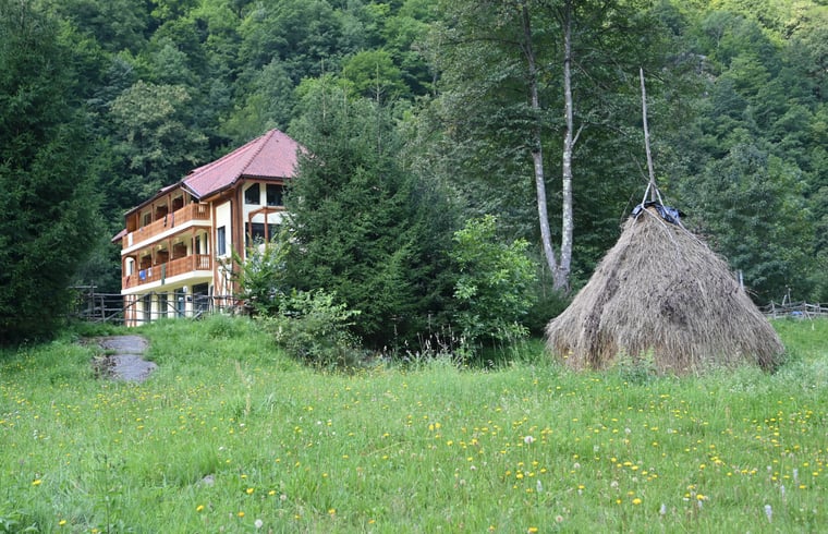 Image of Natuurhuisje in Tara Hategului, near Retezat National Park