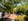 Nature house in Moncarapacho
