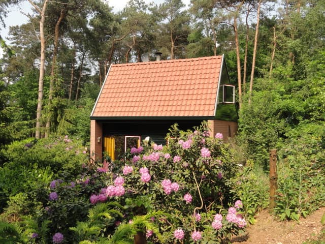 Maison nature à Overloon