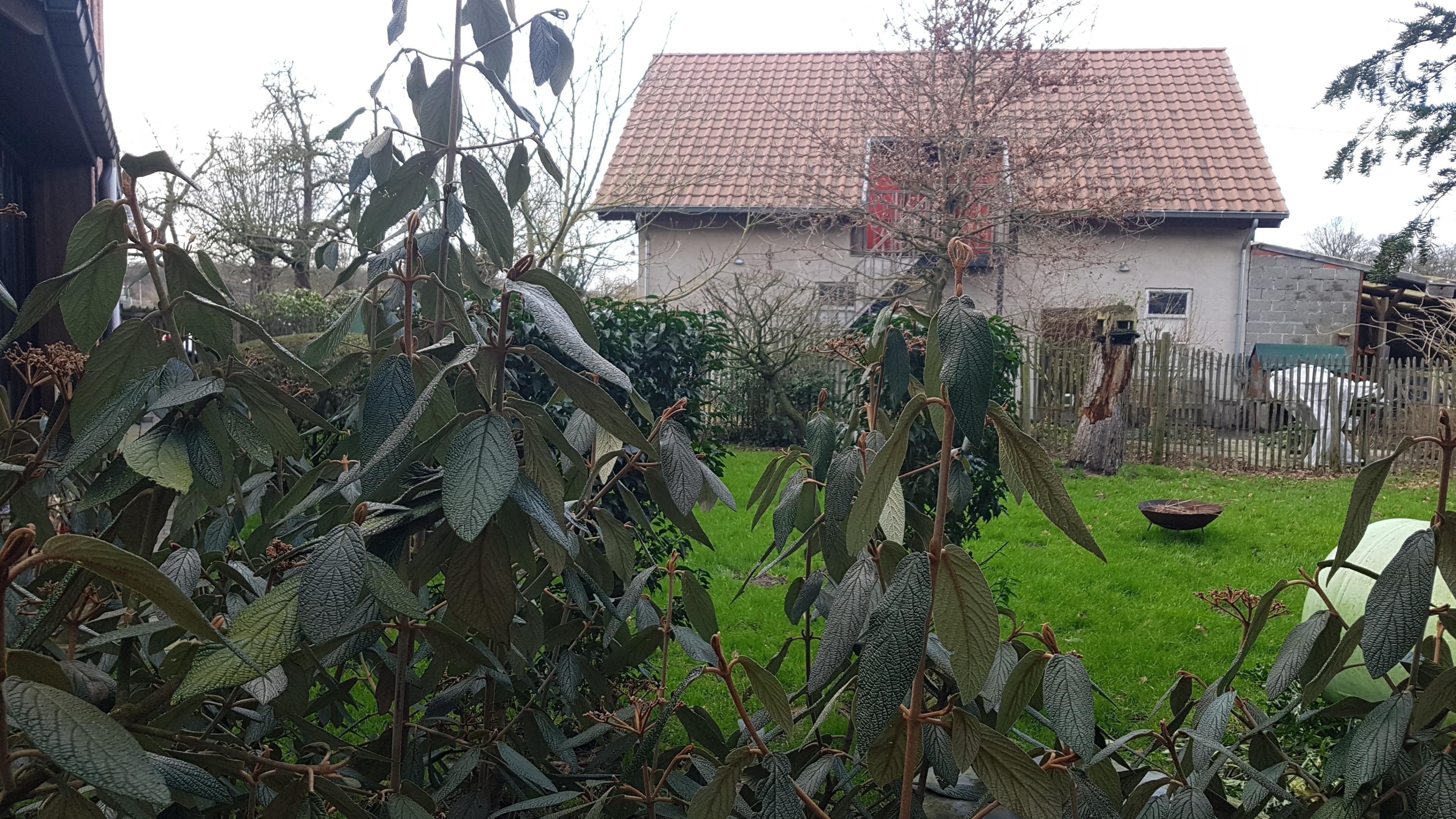 Maison nature à Lier
