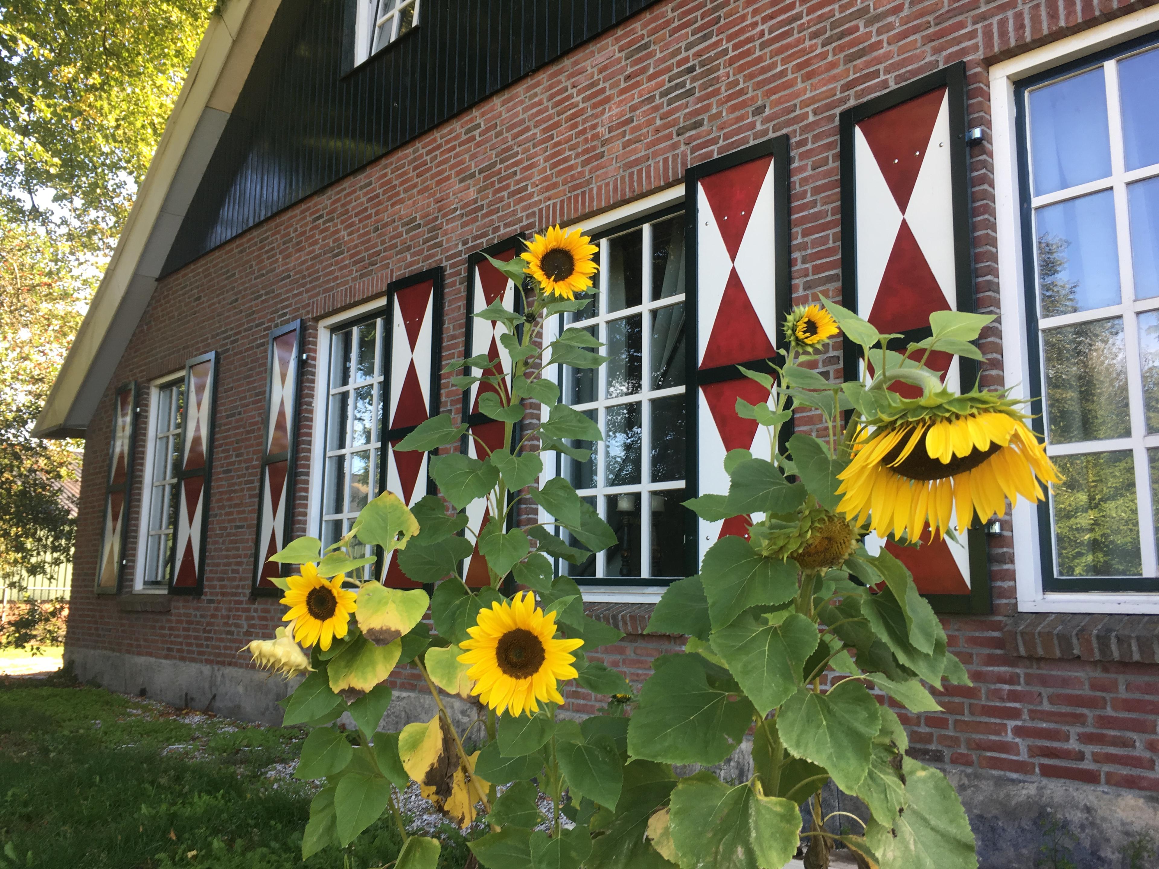 Nature house in Enschede
