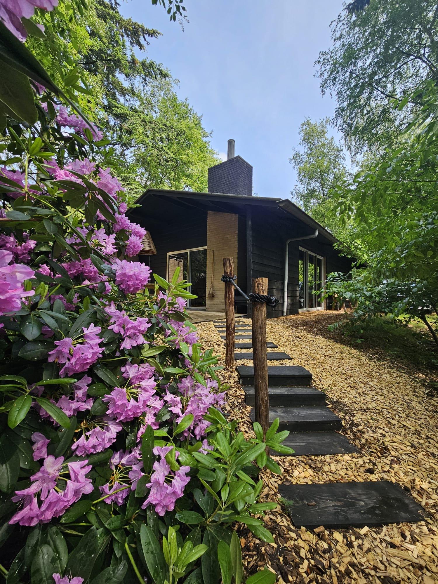 Maison nature à Rheezerveen