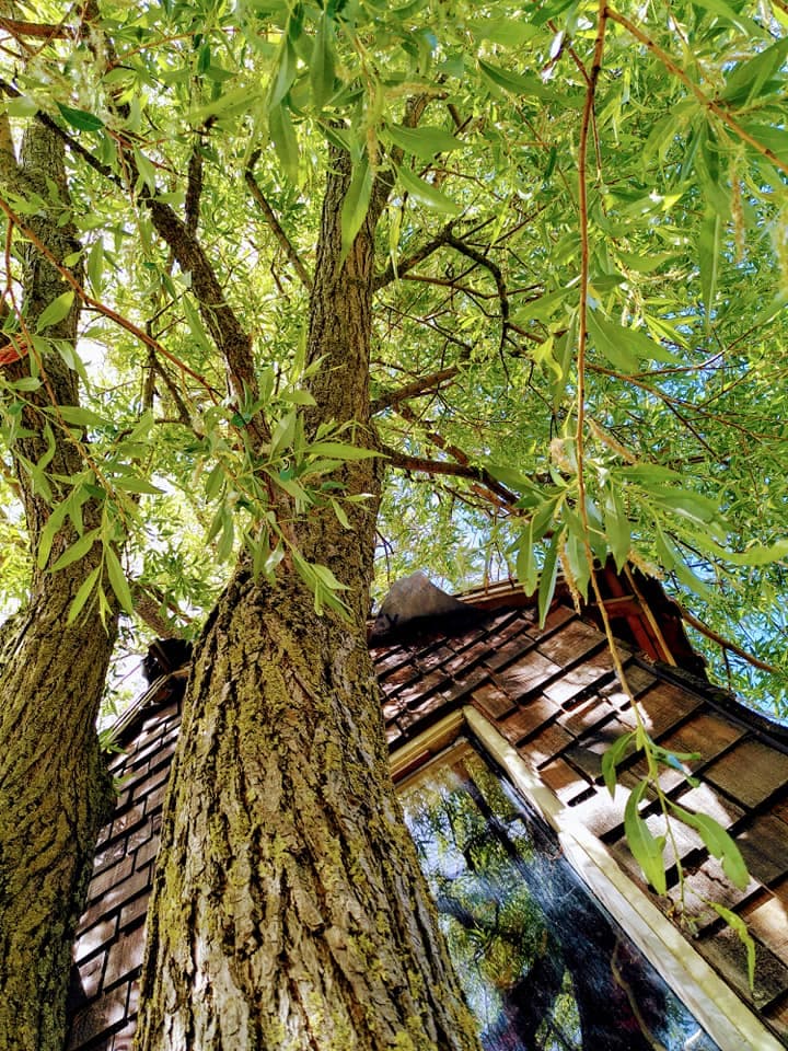 Nature house in Roodeschool