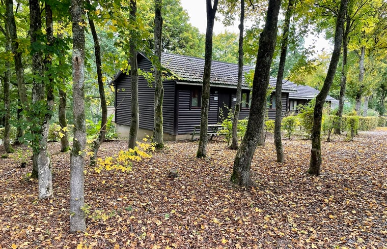 Chalet in Rendeux — foto 1