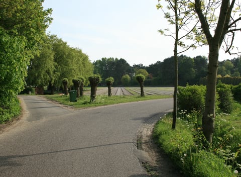 Natuurhuisje in Noord Bakkum - Castricum: 45