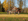 - image: 13