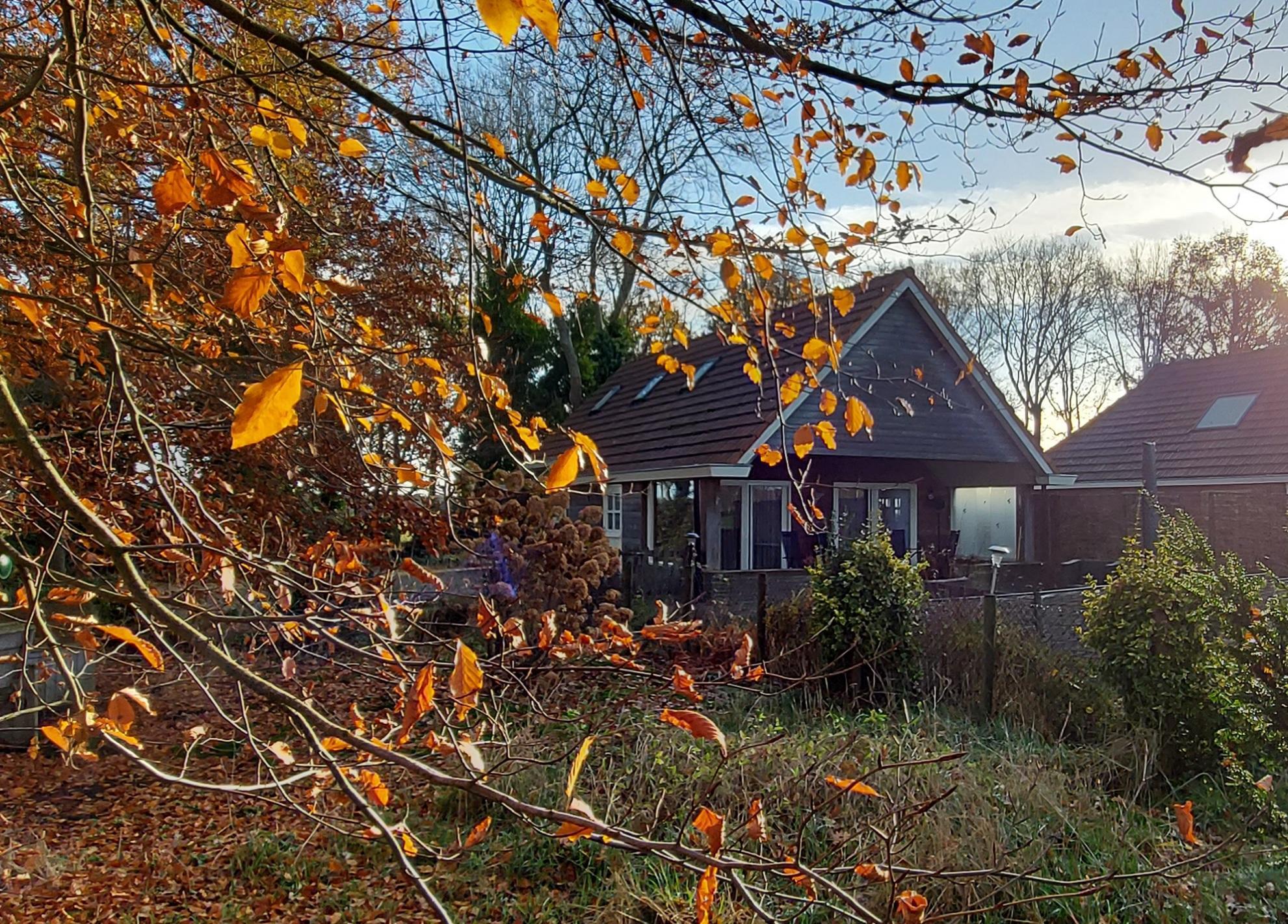 Maison nature à Bakkeveen
