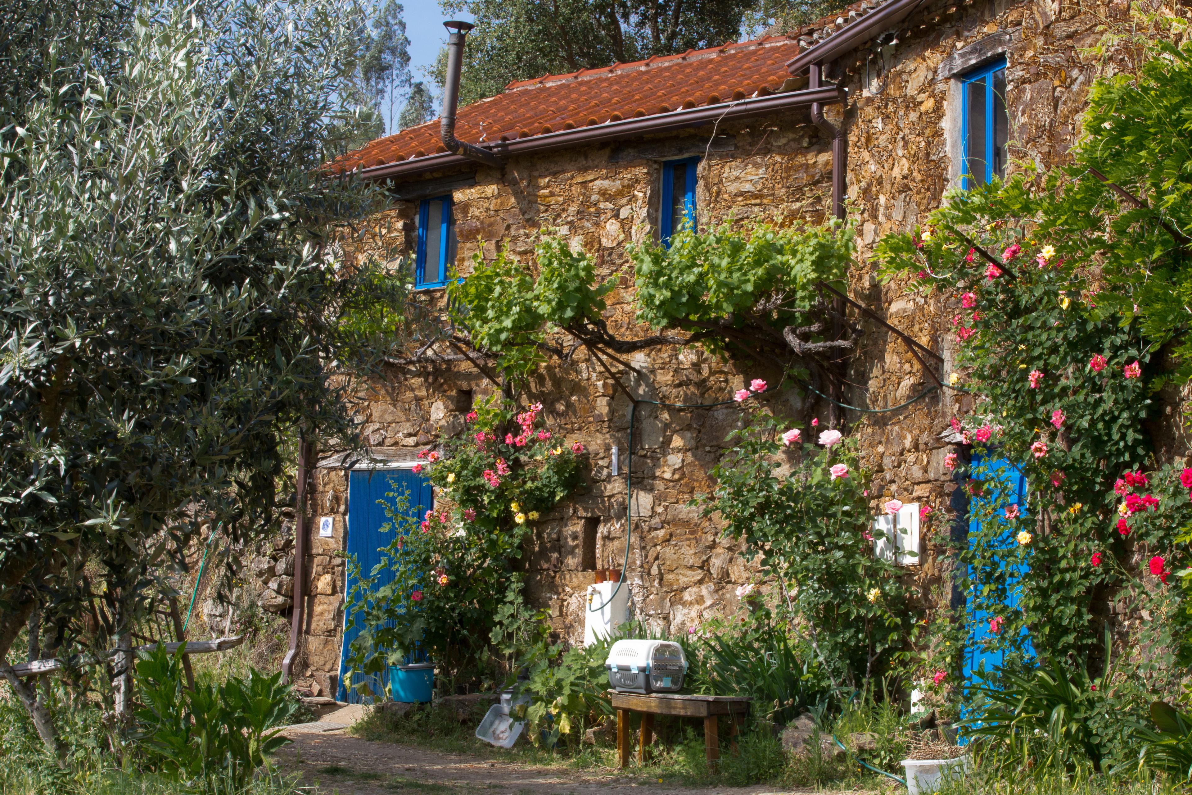 Natuurhuisje in Figueiró dos Vinhos