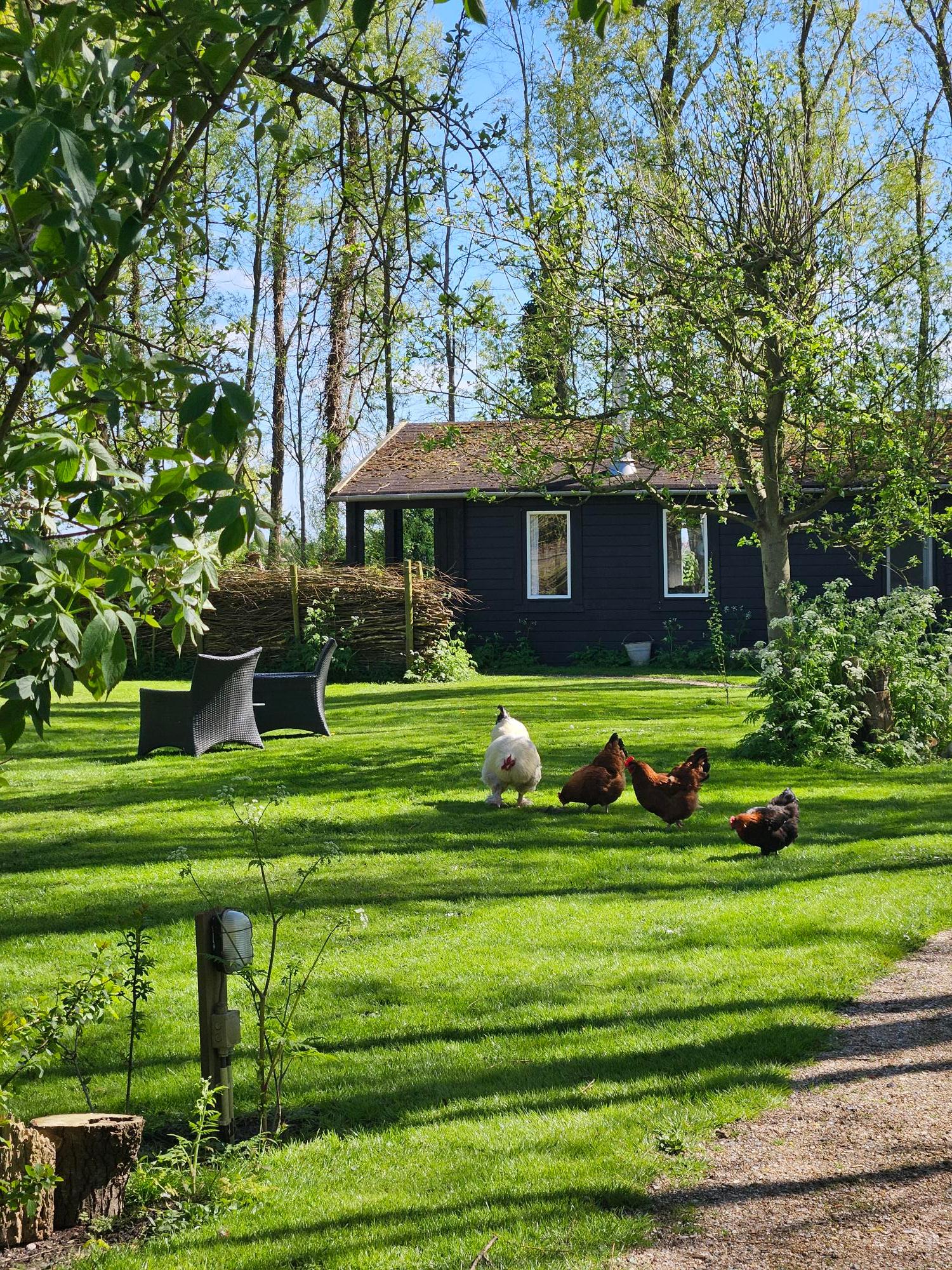 Maison nature à Kerkwerve