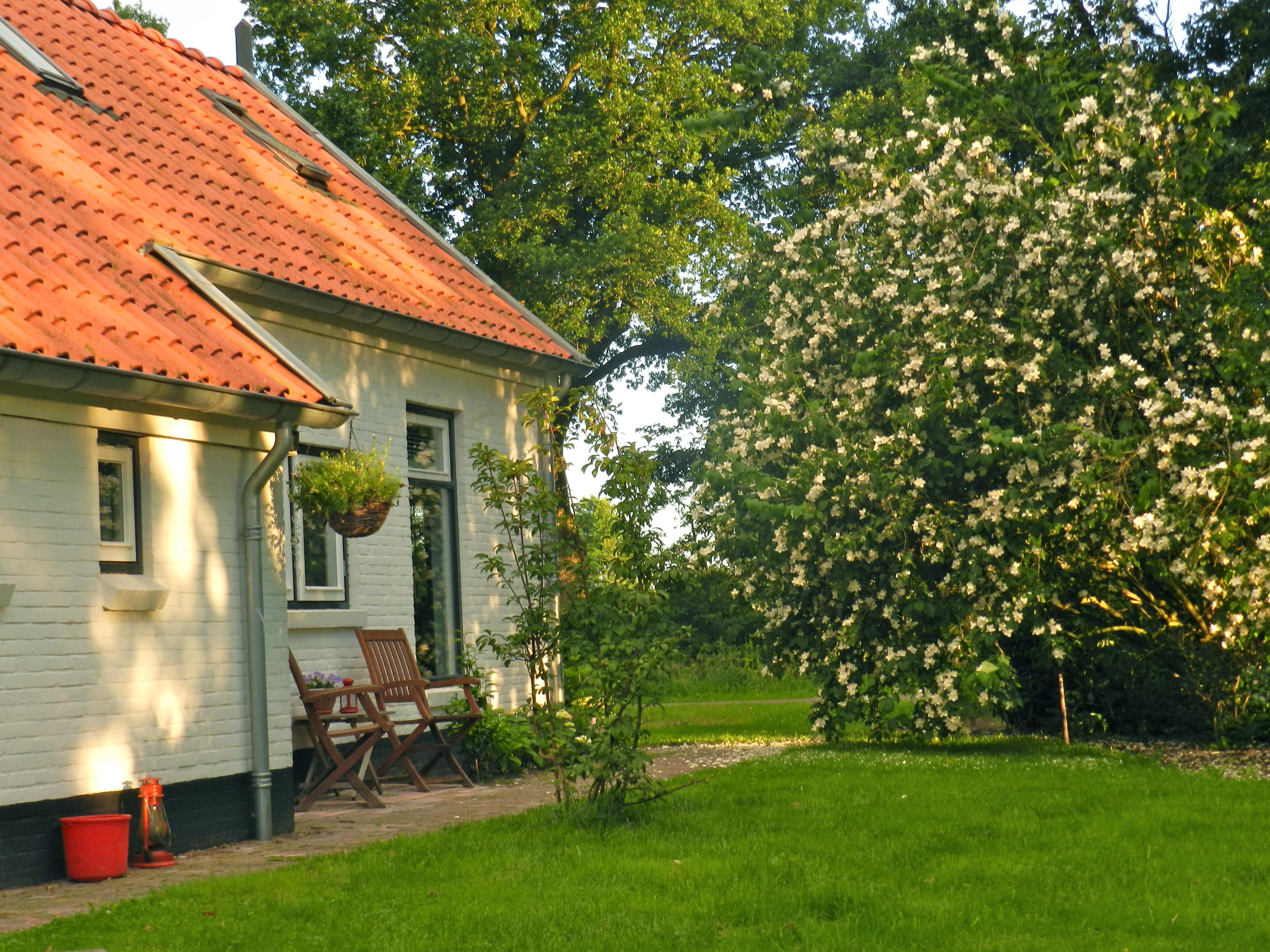 Maison nature à Wapse