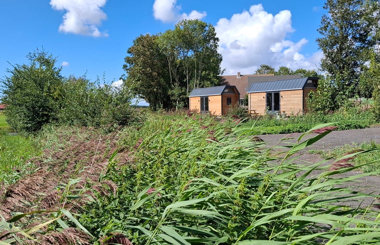 Natuurhuisje in Hallum