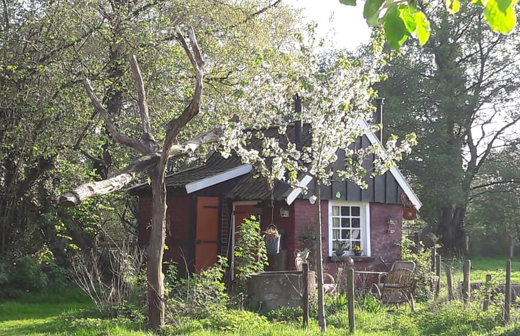 Natuurhuisje in Winterswijk